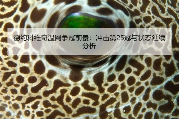 de-yue-ke-wei-qi-wen-wang-zheng-guan-qian-jing-chong-ji-di-guan-yu-zhuang-tai-yan-xu-fen-xi-2-571.jpg